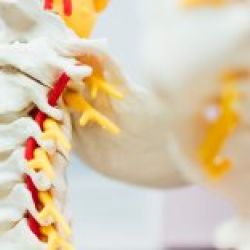 Servicios especializados en traumatología y ortopedia en Santander