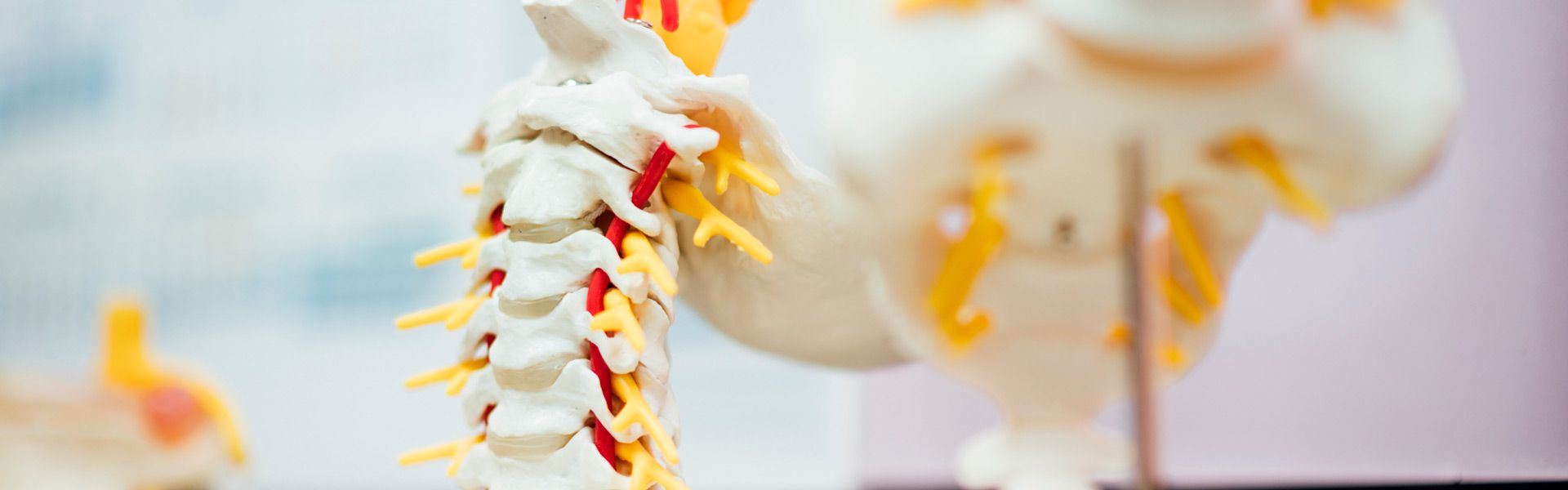 Servicios especializados en traumatología y ortopedia en Santander