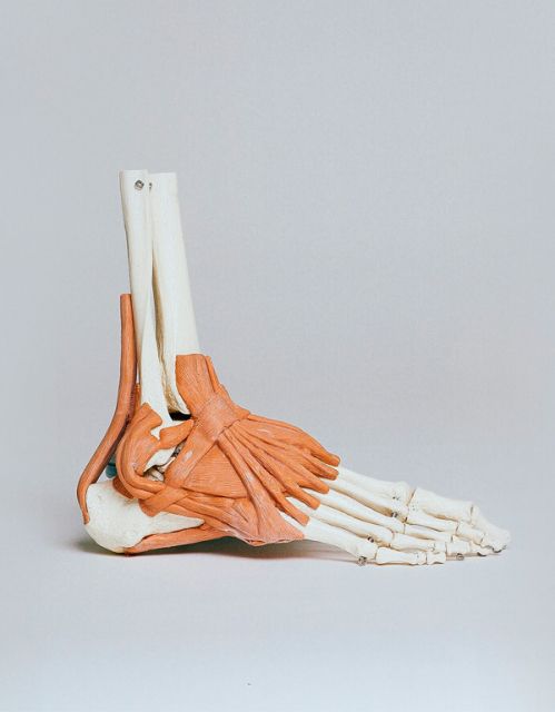 traumatologia y reahbilitacion en Santander